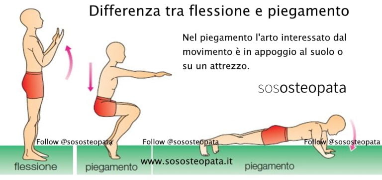 Assi E Piani Del Corpo Umano Dott Alessandro La Torre Sos Osteopata Imola