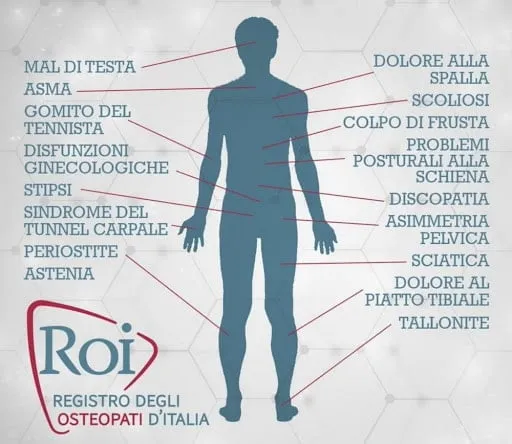 Cosa fa l'Osteopata: Le 6 Fasi del Trattamento Osteopatico Spiegate Passo Passo